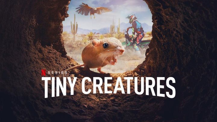 مسلسل Tiny Creatures الموسم الاول الحلقة 5 الخامسة مترجمة
